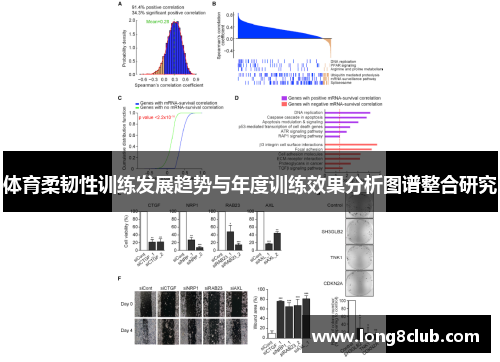 体育柔韧性训练发展趋势与年度训练效果分析图谱整合研究