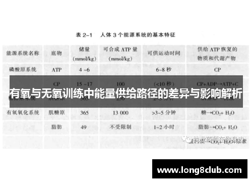 有氧与无氧训练中能量供给路径的差异与影响解析